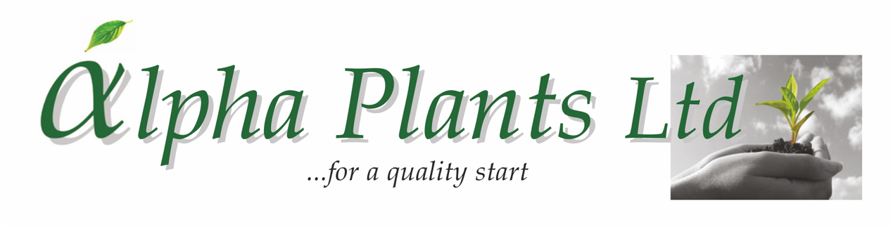 alpha plants Logo